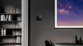 Pictor_DS-black-wiz2.jpg