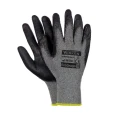 EcoDrago 12.480.webp