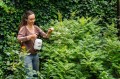 Opryskiwacz ciśnieniowy ręczny STALCO GARDEN 2l do roślin i kwiatów