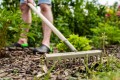 Grabie ogrodowe 12 zębów trzonek bukowy STALCO GARDEN