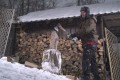 Czapka zimowa uszatka STALCO CORK czarna unisize